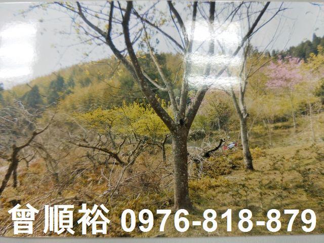 五峰農地-1