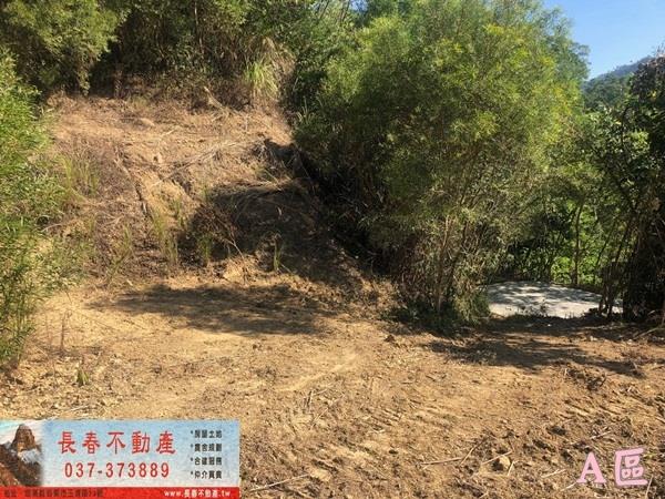 公館農地-3