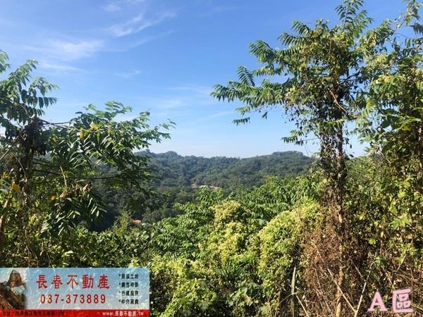 公館農地-4