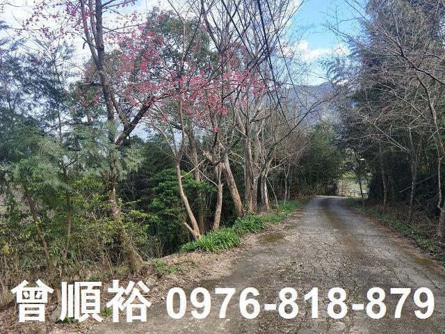 新竹農地-9