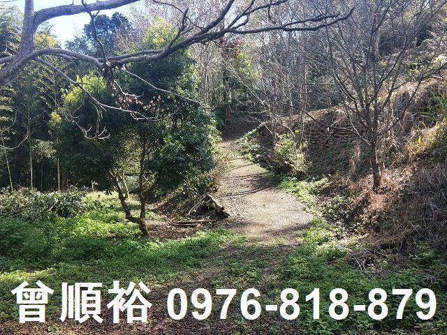 新竹農地-5