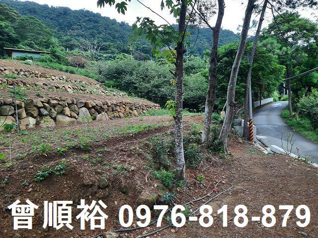新竹竹東農地-5