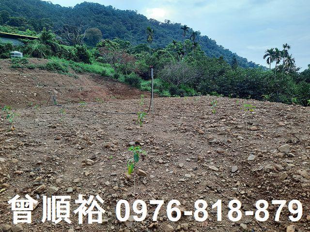 新竹竹東農地-0