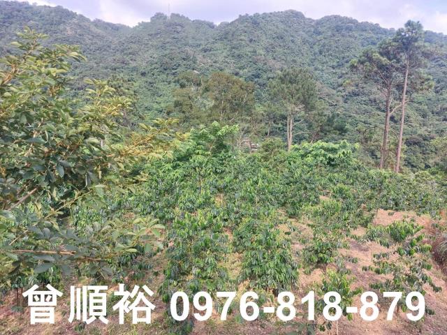 新竹竹東農地-14