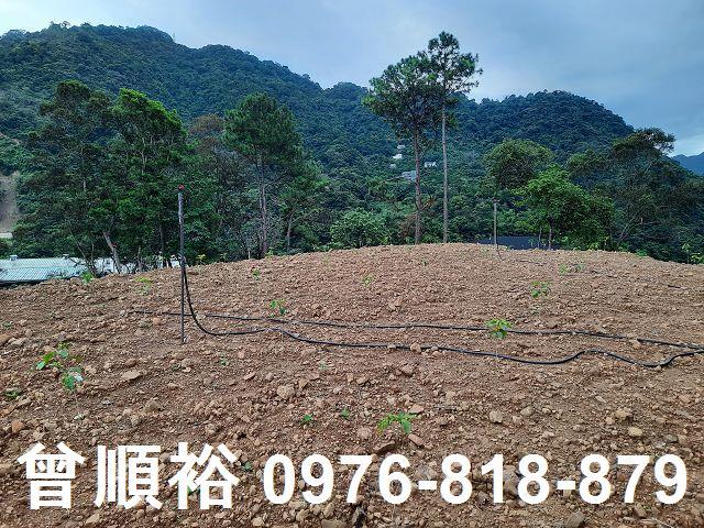 新竹竹東農地-1