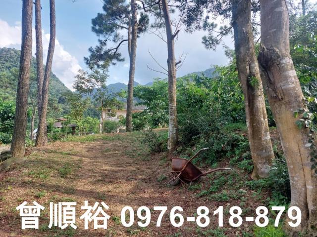 新竹竹東農地-10