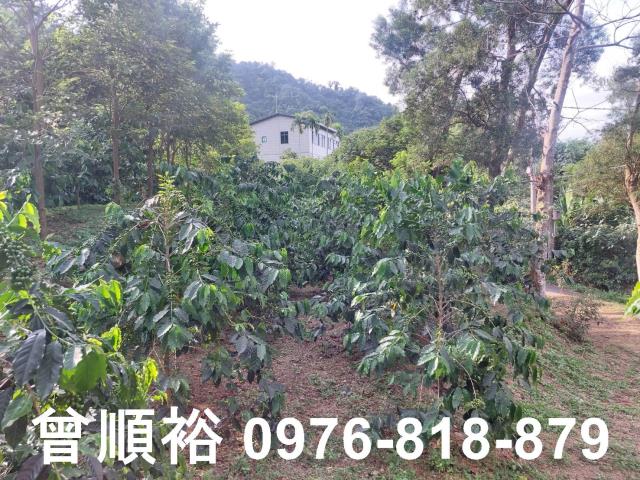 新竹竹東農地-11