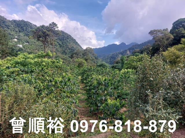 新竹竹東農地-12