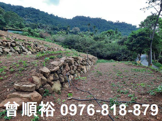 新竹竹東農地-3