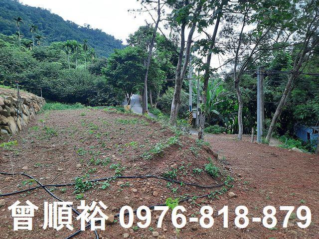 新竹竹東農地-4