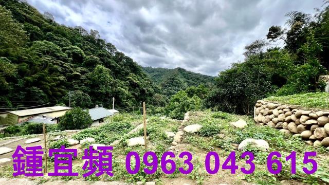 新竹農地-3