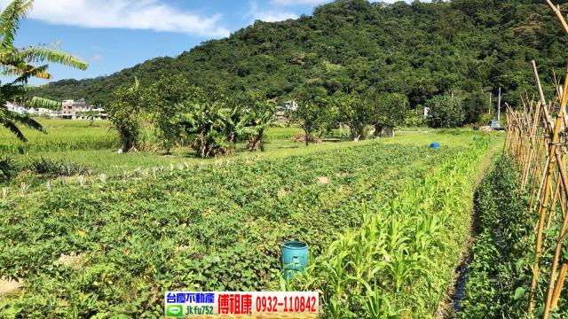 芎林農地-3