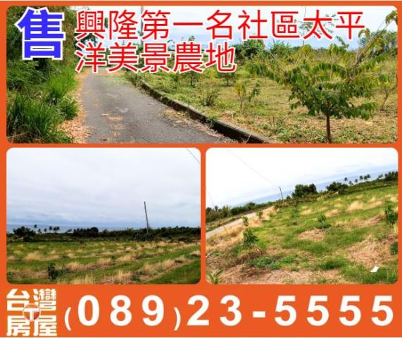 台東農地-0