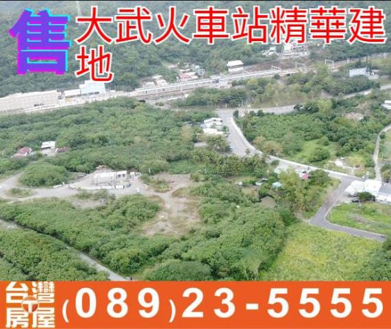 台東建地-1