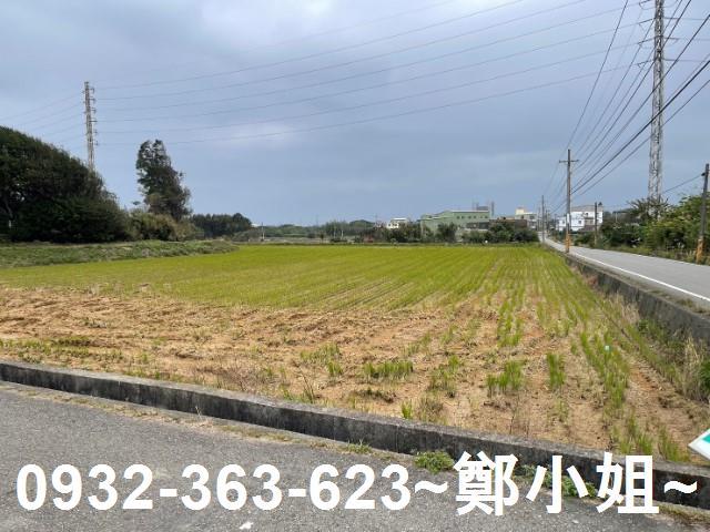 桃園新屋農地-9