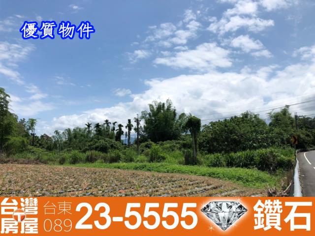 台東鹿野農地-11