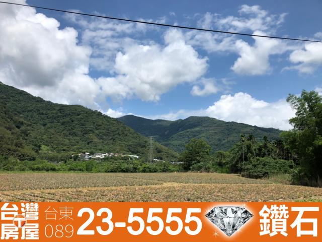 台東鹿野農地-7