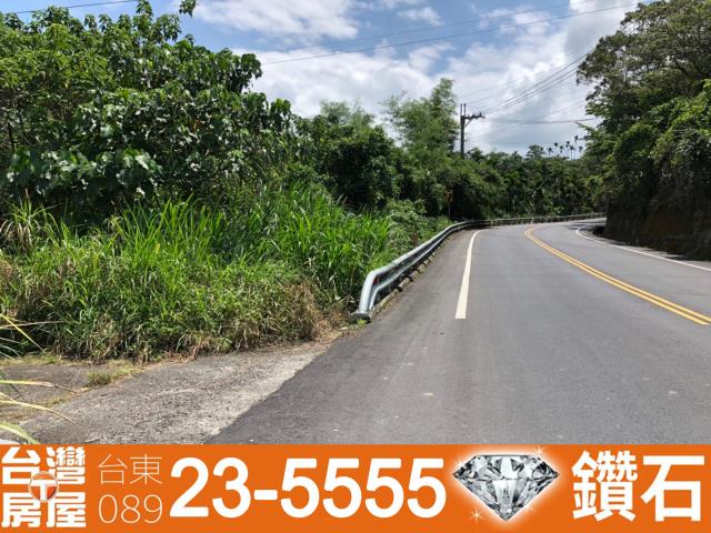 台東鹿野農地-8