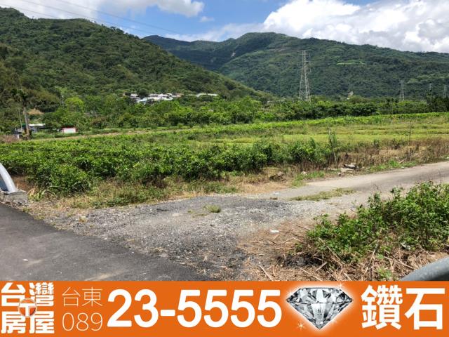 台東鹿野農地-9