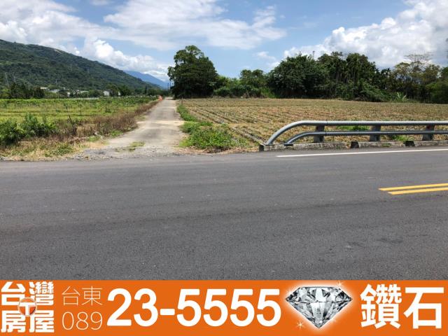 台東鹿野農地-10