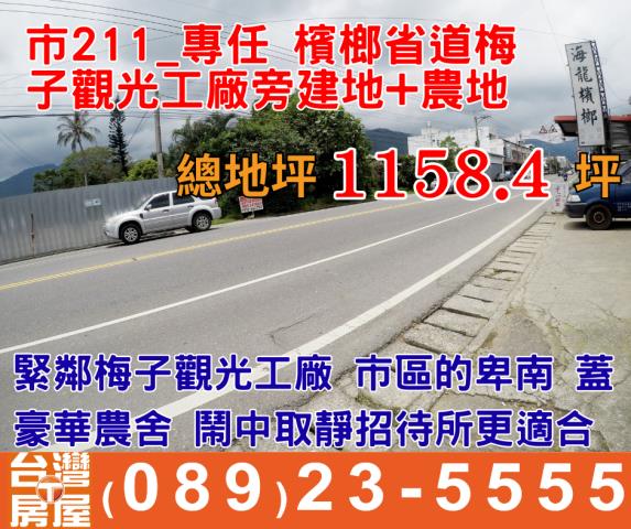 台東卑南農地-0