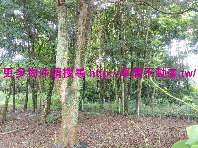 苗栗卓蘭農地-2