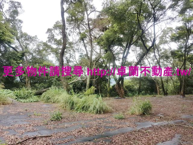 苗栗卓蘭農地-7