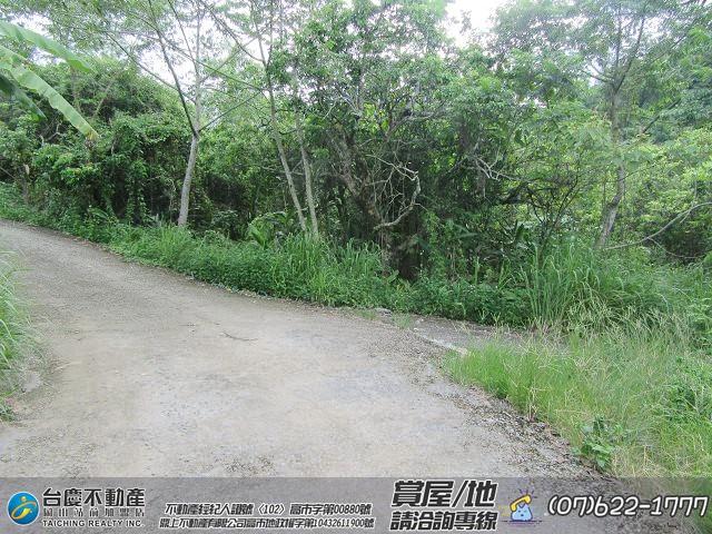 高雄內門農地-2