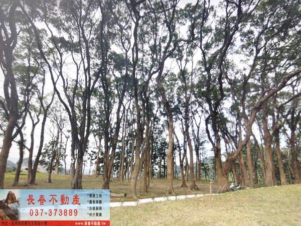 苗栗農地-1