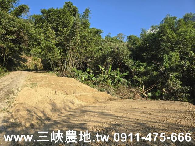 三峽農地-5