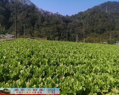 獅潭農地-1