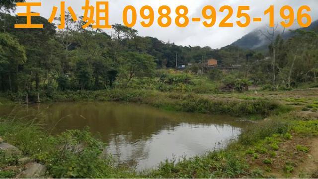 龍潭農地-7