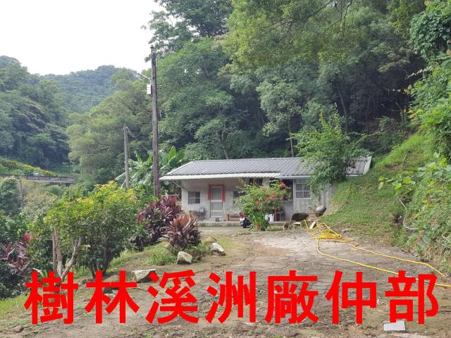 樹林農地-5