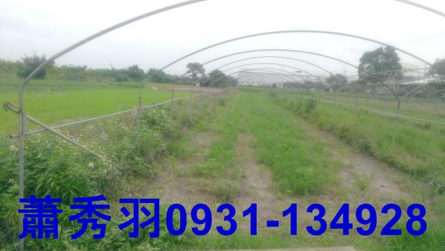 台中后里農地-0