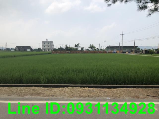 苗栗苑裡農地-0