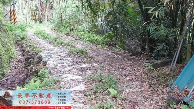 苗栗建地-1