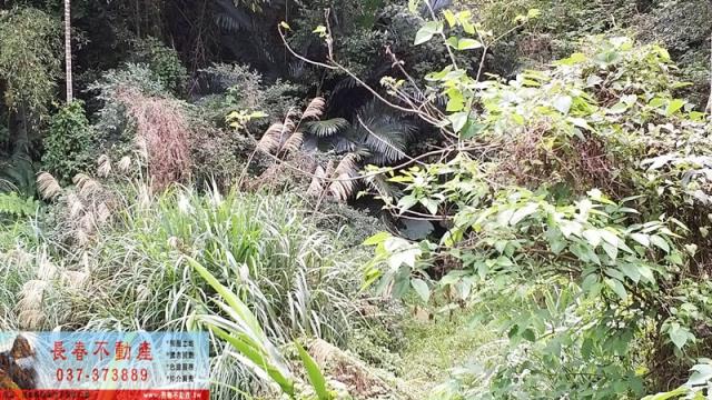 苗栗建地-3
