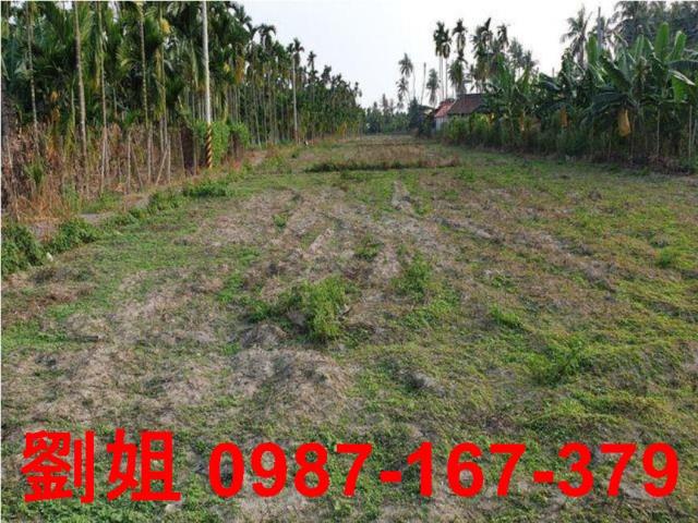 屏東農地-2