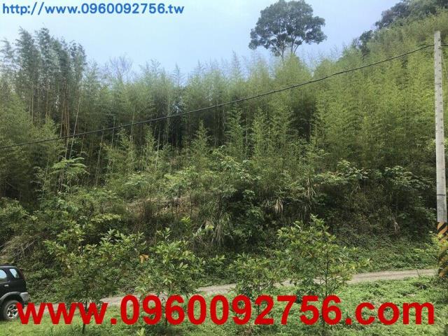 尖石農地-1