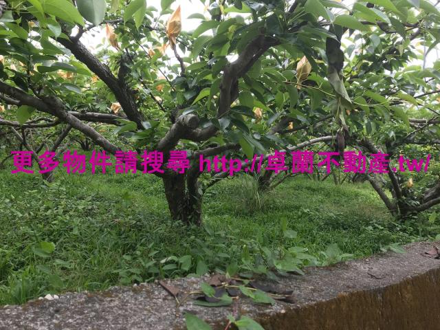 苗栗卓蘭農地-6