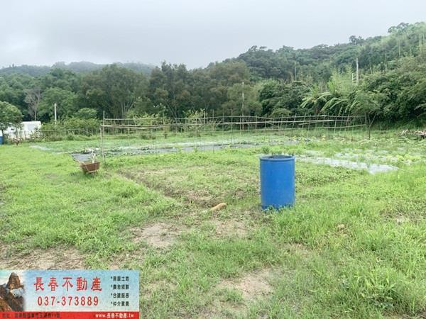 西湖建地-3