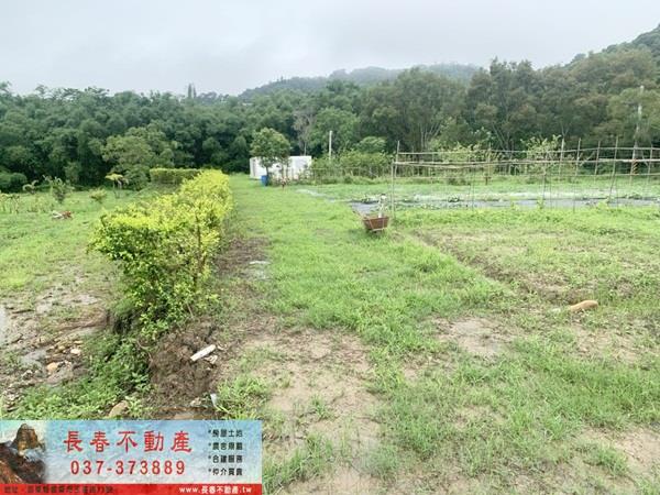 西湖建地-4