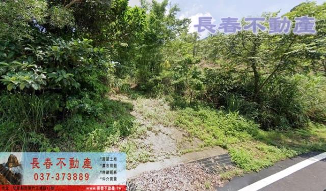 卓蘭櫻花園一