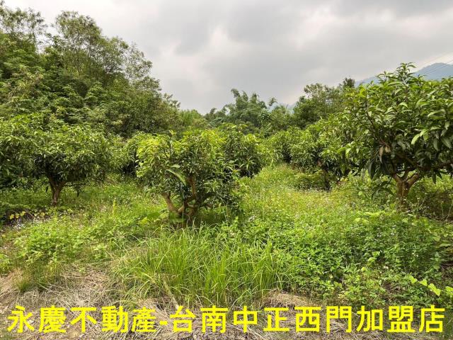 南化農地-9