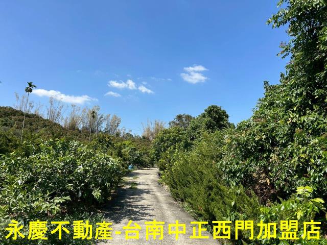 南化農地-9