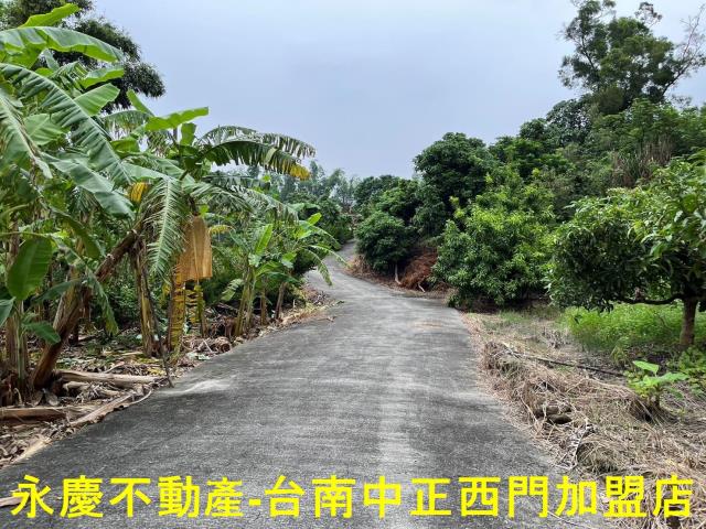 南化農地-10