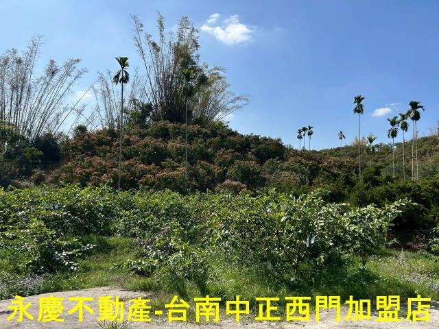 南化農地-10