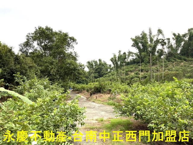 南化農地-11