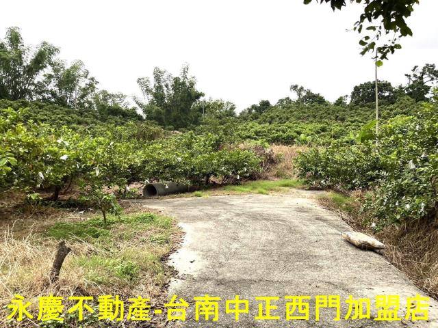 南化農地-2