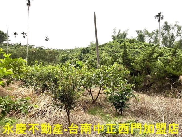 南化農地-3